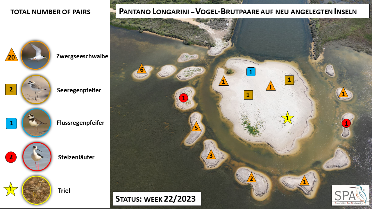 In 2022, more than 40,000 m&sup3; of sandy soil were moved as part of our ecological rehabilitation - Bild 2